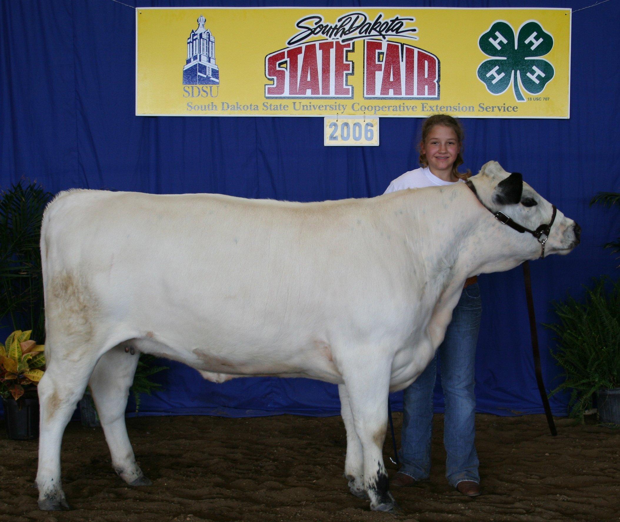 Hohn's & 7/H's British White Cattle